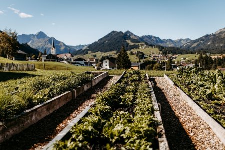 Ausblick vom Bio-Hotel Oswalda Hus im Kleinwalsertal im Sommer.