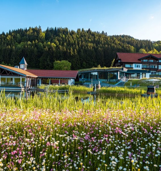 Die Außenansicht des Haubers Naturresort in Oberstaufen.
