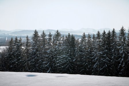 Eine verschneite Winterlandschaft in der Nähe des Berghotel Jägerhof in Isny.