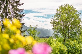 Blick auf die Natur und Berge im Frühling im freistil. boutiquehotel & restaurant in Ofterschwang.