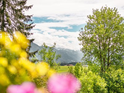 Blick auf die Natur und Berge im Frühling im freistil. boutiquehotel & restaurant in Ofterschwang.