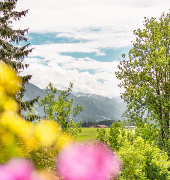 Blick auf die Natur und Berge im Frühling im freistil. boutiquehotel & restaurant in Ofterschwang.