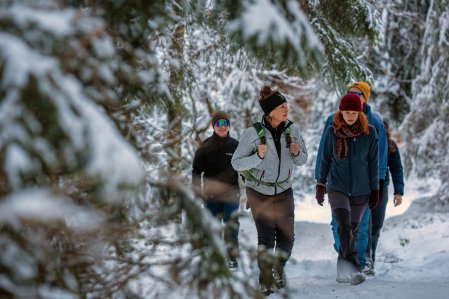 Hotel Allgäu Sonne Winterwandern Gäste beim Winterwandern in der Nähe des Hotels Allgäu Sonne in Oberstaufen.