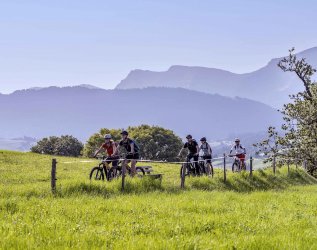 Gäste beim Radfahren in der Nähe des Hotels Allgäu Sonne in Oberstaufen.