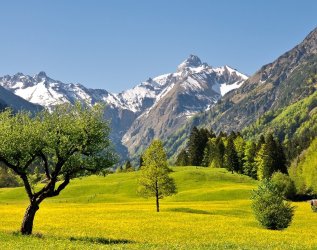 Eine Frühlingslandschaft in den Bergen in Oberstdorf.