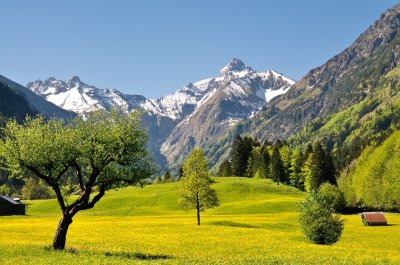 Eine Frühlingslandschaft in den Bergen in Oberstdorf.