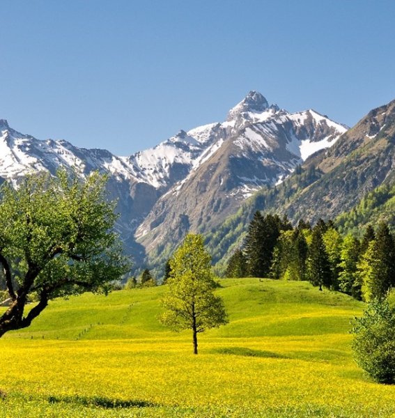 Eine Frühlingslandschaft in den Bergen in Oberstdorf.