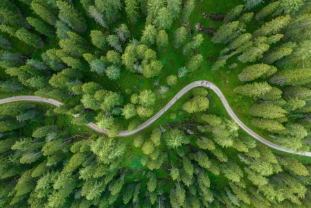 Blick auf eine Straße mitten im Wald in der Nähe der Kraftquelle Fanny in Maierhöfen.