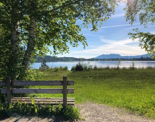 Eine Sitzbank am Hopfensee beim Biohotel Eggensberger in Füssen - Hopfen am See.