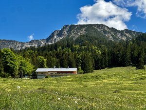 Die Ochsenalpe lässt sich fußläufig vom Hotel Prinz-Luitpold-Bad in Hindelang erreichen.