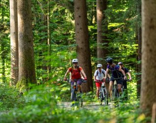 Biker fahren auf Waldwegen nahe des Hotel Allgäu Sonne in Oberstaufen.