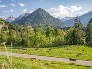 Die Natur beim Freiberg Romantik Hotel in Oberstdorf.