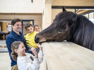 Kinder stehen um ein Pony im Pferdestall vom Familotel Allgäuer Berghof herum und lachen
