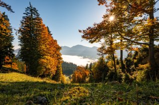 Herbstlandschaft mit Blick auf das Tal vom Imberg.