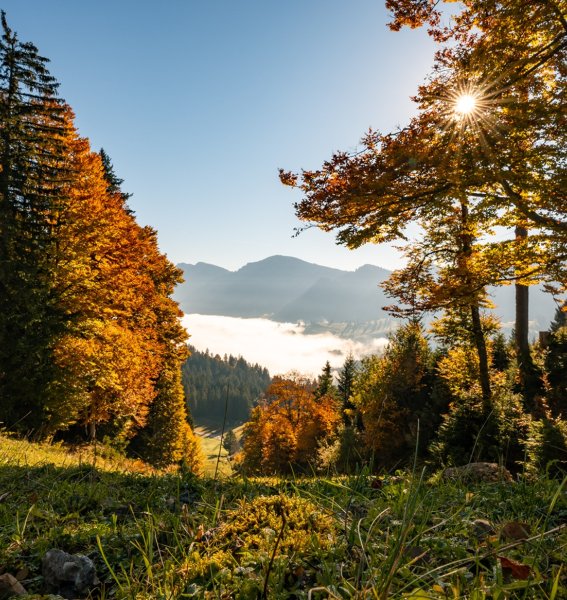 Herbstlandschaft mit Blick auf das Tal vom Imberg.