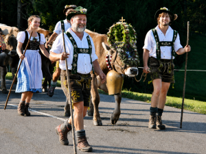 Almabtrieb beim Viehscheid in Oberstaufen nahe des Hotel Allgäu Sonne.