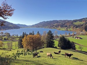 Der Alpsee im Herbst nahe des Hotel Allgäu Sonne in Oberstaufen.