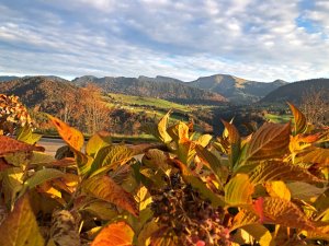 Die Aussicht im Herbst vom Hotel Allgäu Sonne in Oberstaufen.