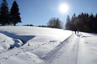 Einblick in die verschneite schöne Umgebung rund um das Hanusel Hof in Weitnau