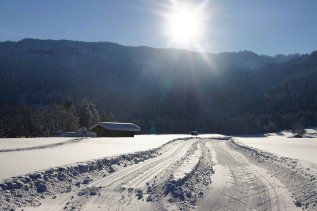Hotel Berwanger Hof Ausblick Winter