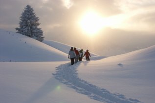 Ferienhotel Almajur Wandern Winter