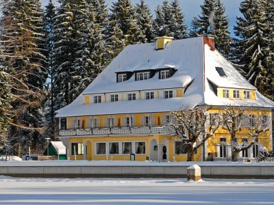 Hotel Waldsee Außenansicht Winter