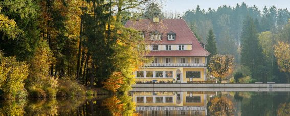 Hotel Waldsee Außenansicht Sommer