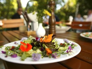 Ansprechend angerichtete Speise im Naturlandhaus Krone in Maierhoefen.