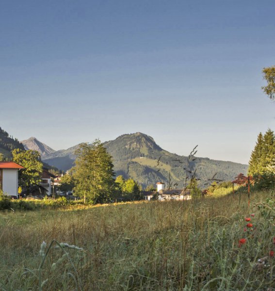 Ausblick auf umliegende Berge von den Alpin Chalets in Oberjoch im Sommer.