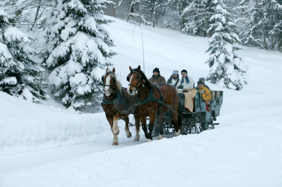 Familotel Bavaria Pferdeschlitten Winter