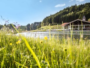 Die Außenansicht des Haubers Naturresorts in Oberstaufen mit großem Naturpool im Sommer.