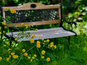 Eine Bank im schönen großen Garten des DIANA Naturpark Hotels in Oberstaufen lädt zum Entspannen ein.