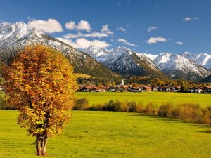 Ausblick auf die Berge im Herbst im Hotel Franks in Oberstdorf.