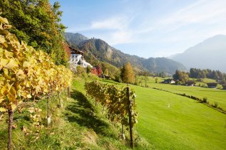 Ausflugsziel in der Umgebung des Hotel Prinz-Luitpold-Bad in Bad Hindelang mit Blick auf die grünen Wiesen und Berge