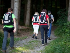 Eine Gruppe von Gästen macht gemeinsam eine Wanderung durch einen Wald in der Umgebung des Rosenalp Gesundheitsresorts und Spa in Oberstaufen