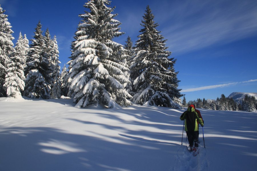Panoramahotel Oberjoch Wandern Winter