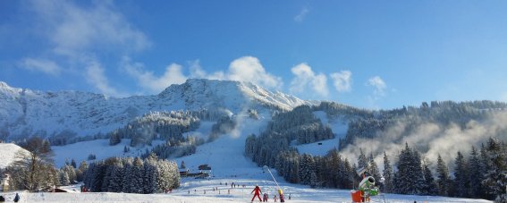 Hotel Alpengasthof Loewen Ski