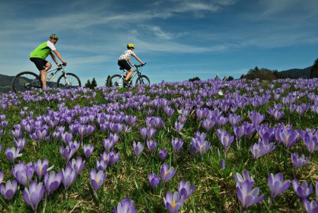 H+ Hotel Oberstaufen Radfahren