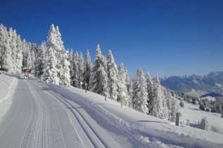 edita-scheidegg-ski