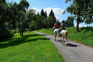 Hotel Edita Freizeitaktivität Reiten