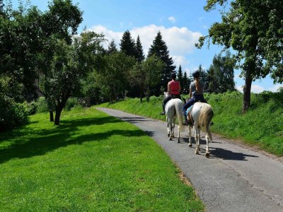 Hotel Edita Freizeitaktivität Reiten