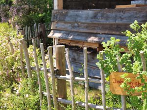 Garten im Sonnenalp Resort in Ofterschwang mit Bienen und Obststräuchern