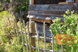 Sonnenalp Resort Außenansicht Sonnen Bienen
