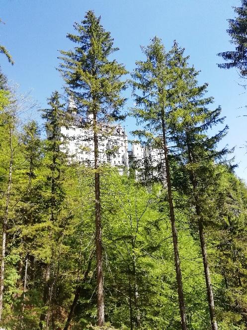 Hotel Schlosskrone Neuschwanstein