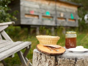 Frischer Honig auf einem Baumstamm präsentiert im Hanusel Hof in Weitnau / Hellengerst