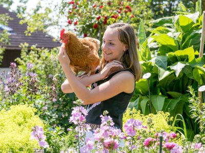 Bergbauern Huhn023