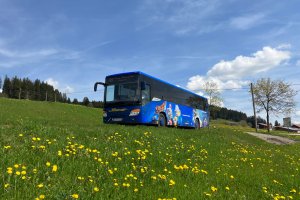 Bus Museumsshuttle
