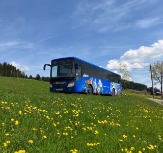 Bus Museumsshuttle