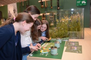 Museums-Safari AlpenStadtMuseum Sonthofen 1