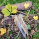 Herbstliches Mobile